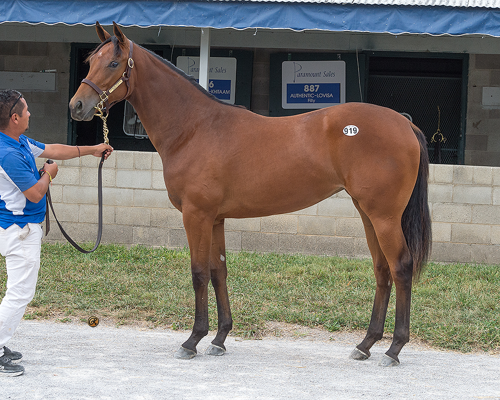 Practical Joke – One More Wish filly